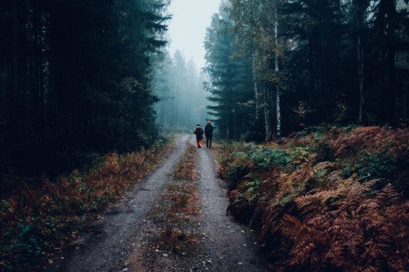 Two people walking on a forest road
