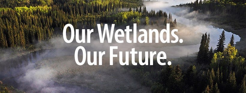 Ducks Unlimited Our Wetlands Our Future