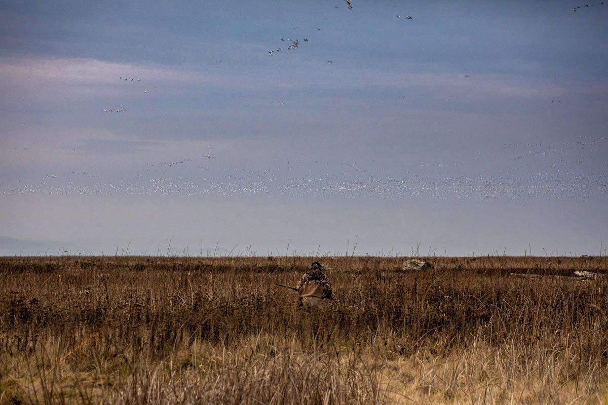 Hunter in field