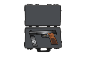 Handgun storage case