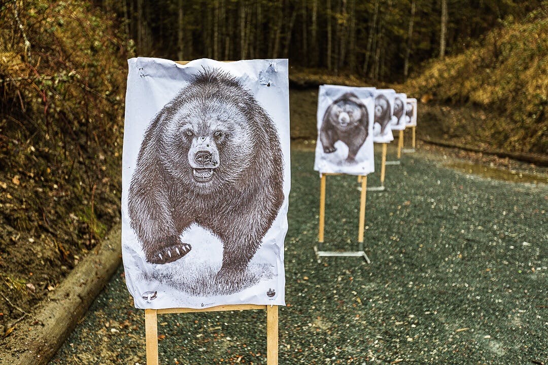 Bear Targets