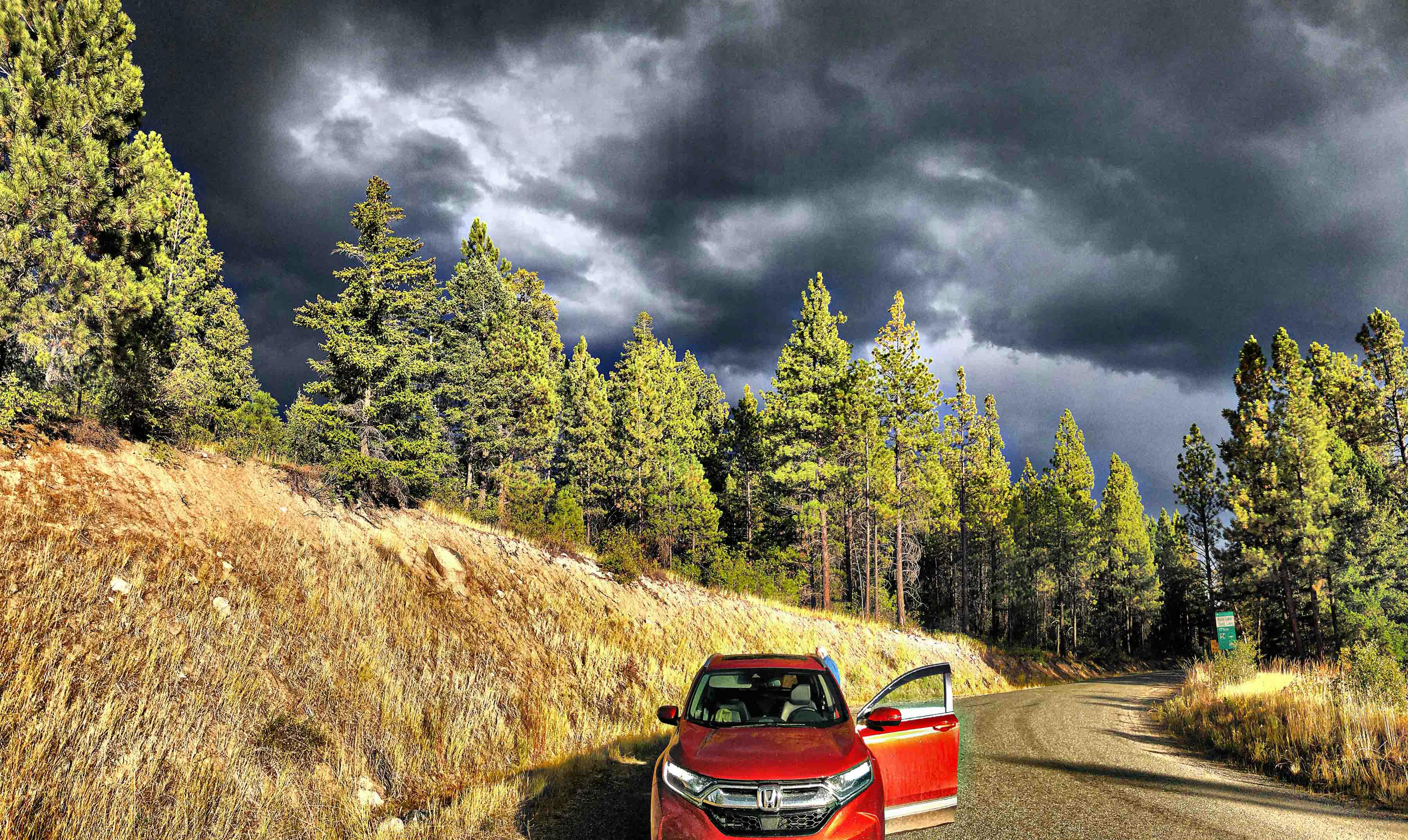 A red car pulled over on the side of a road in the forest