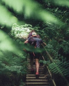 Hikers climbing stairs