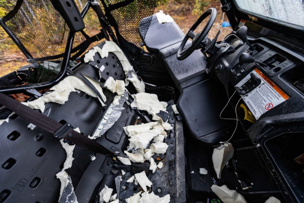 Bear damage to vehicle interior