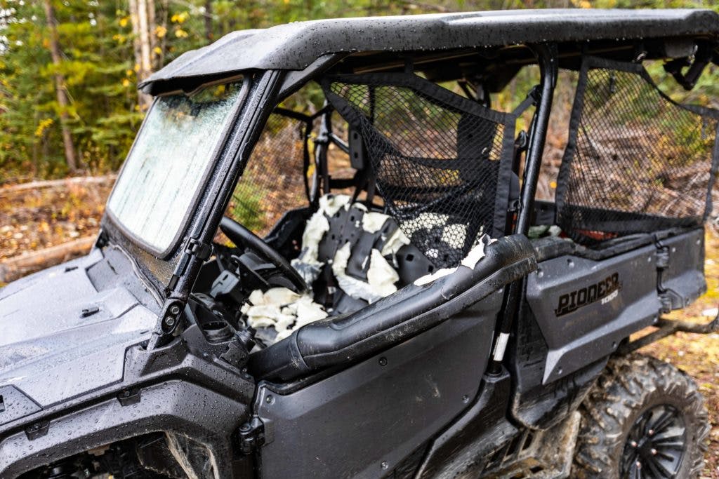 Bear damage to vehicle