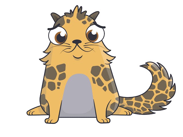 Founder Cat #4, the cryptokitty above, was sold for 100k USD — source https://hackernoon.com/how-we-made-100k-trading-cryptokitties-2d69aebe715b