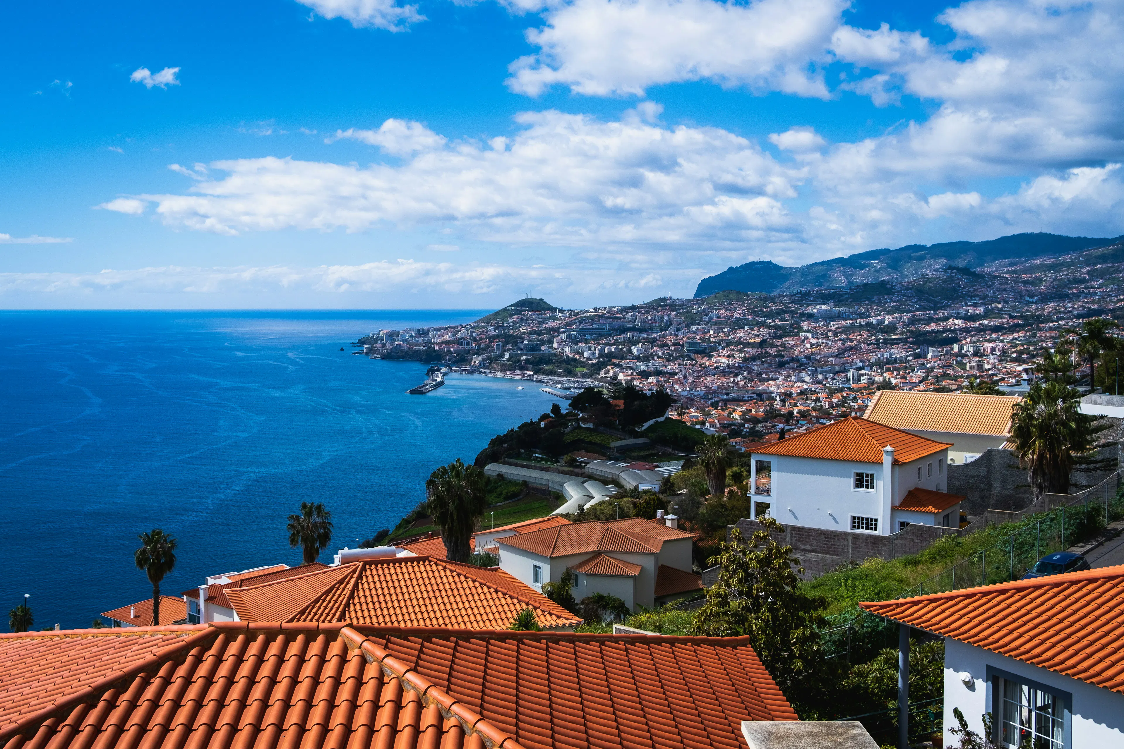 Image depicting bay in Funchal
