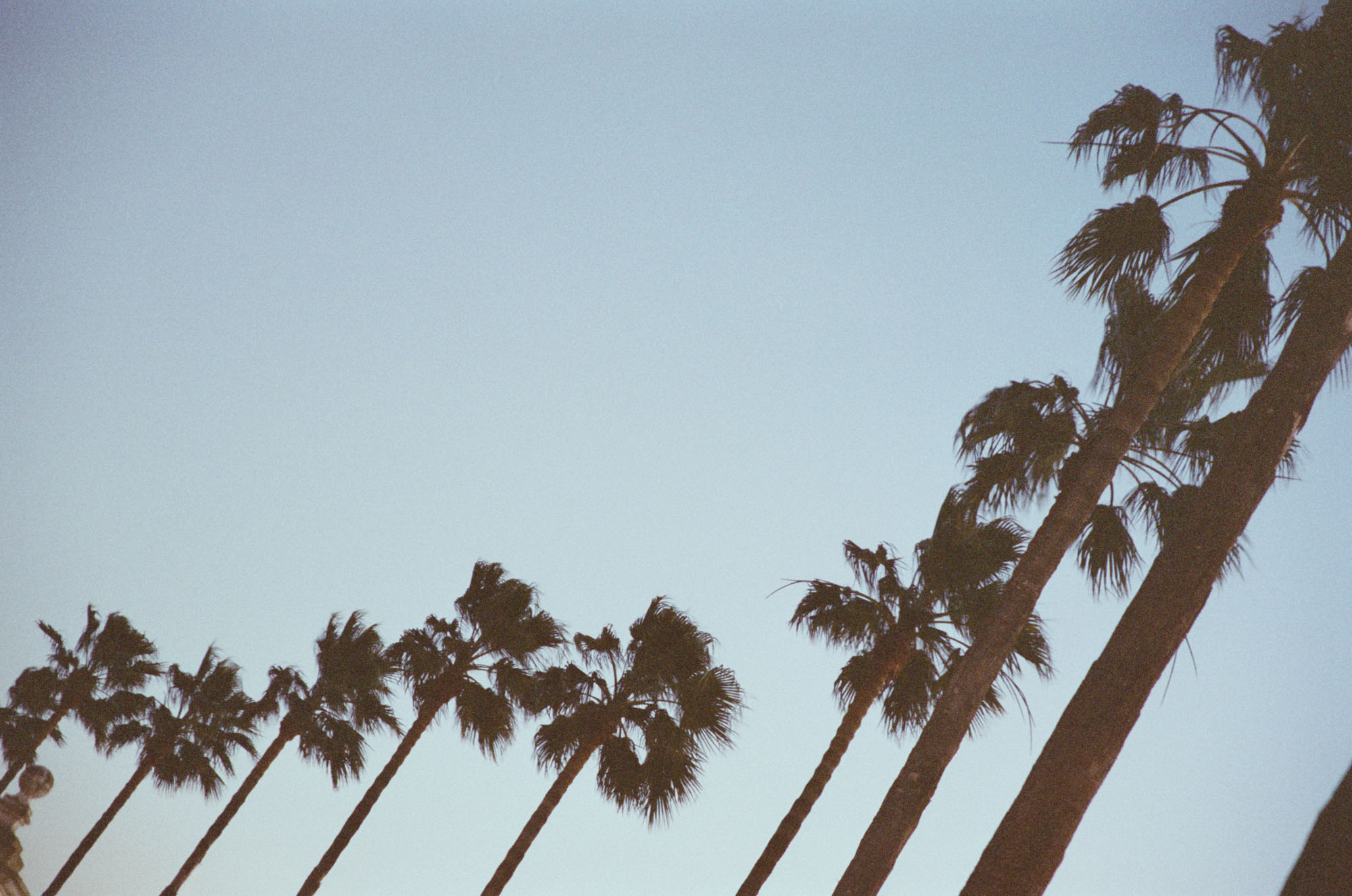 241206000048020035 V1