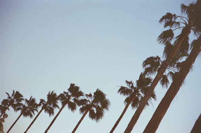 241206000048020035 V1