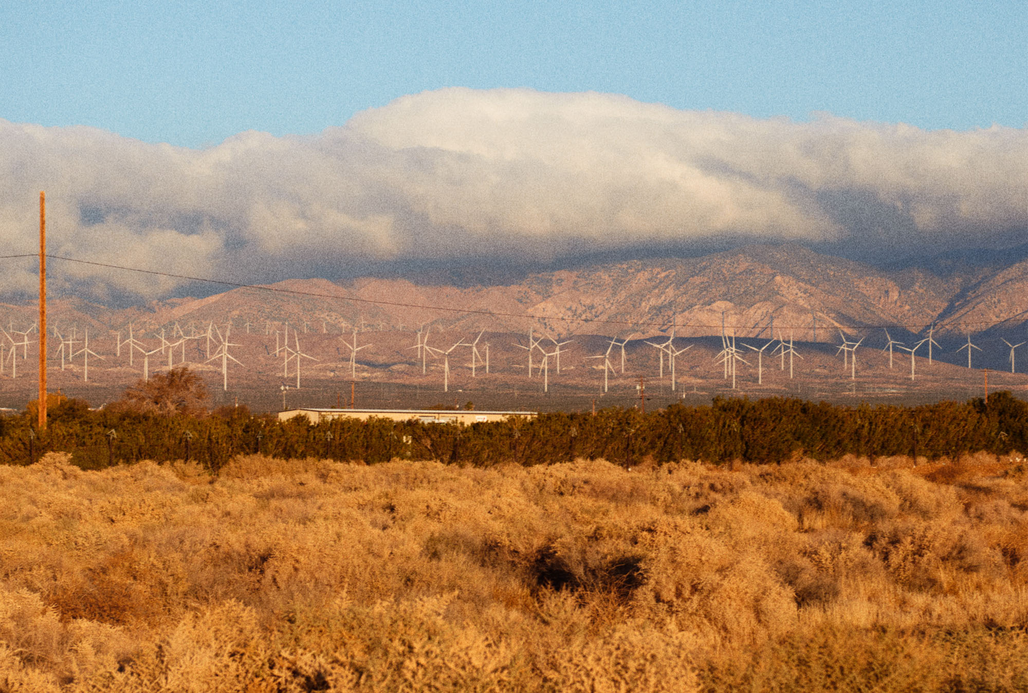 ELLEUSNONI SHOT01 002 R2