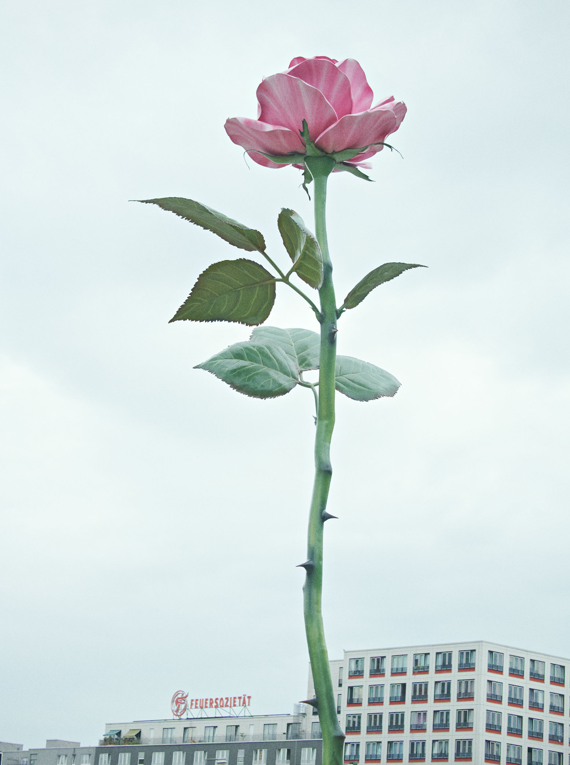 VOGUE GERMANY ARTtest 1249