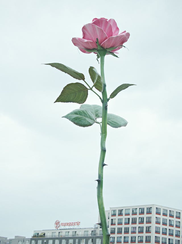 VOGUE GERMANY ARTtest 1249