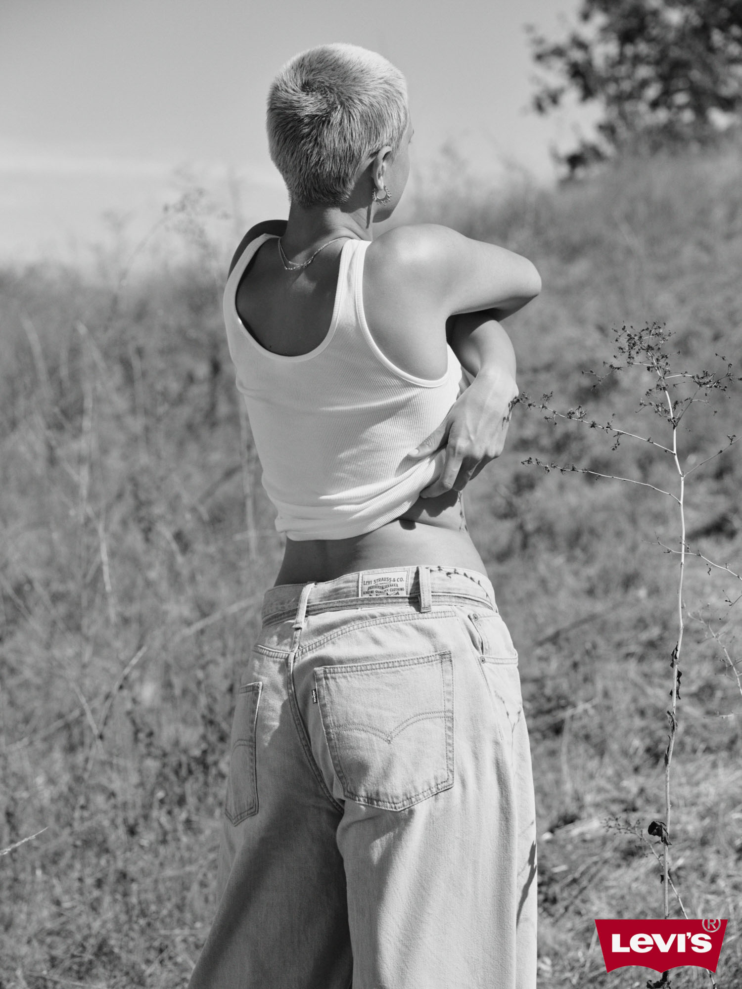 25 H1 D2 OB W 104 B 0012 bw