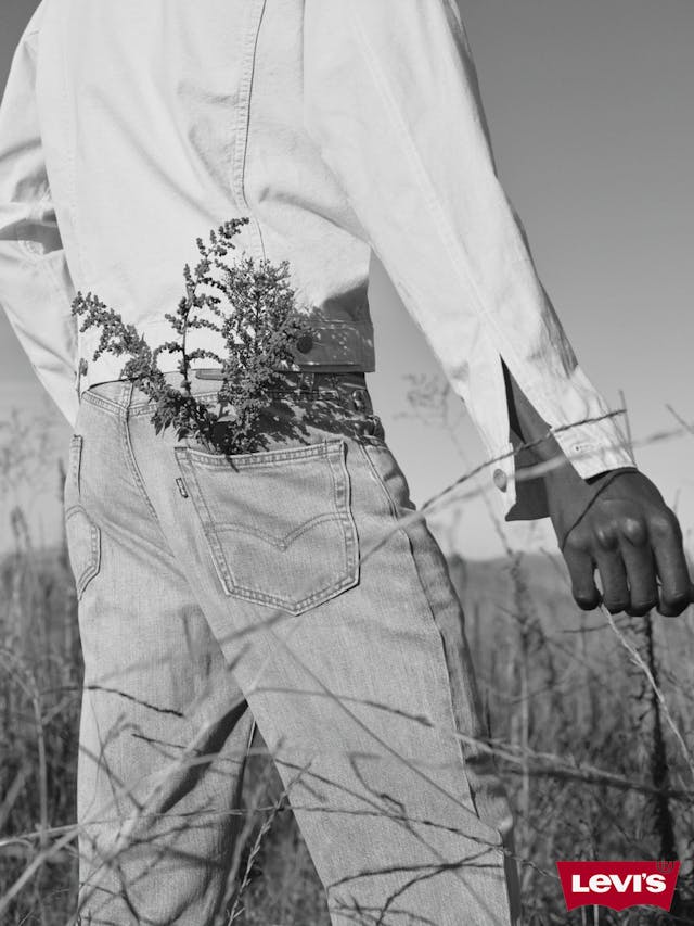 25 H1 D2 OB M 204 0039 bw