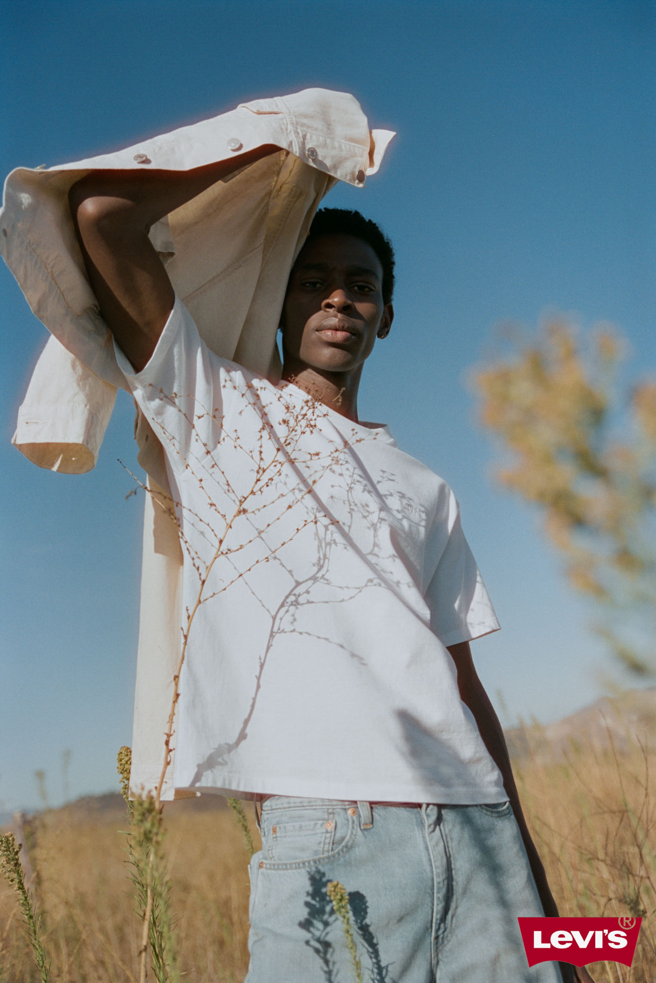 25 H1 D2 OB M 204 B 5739236