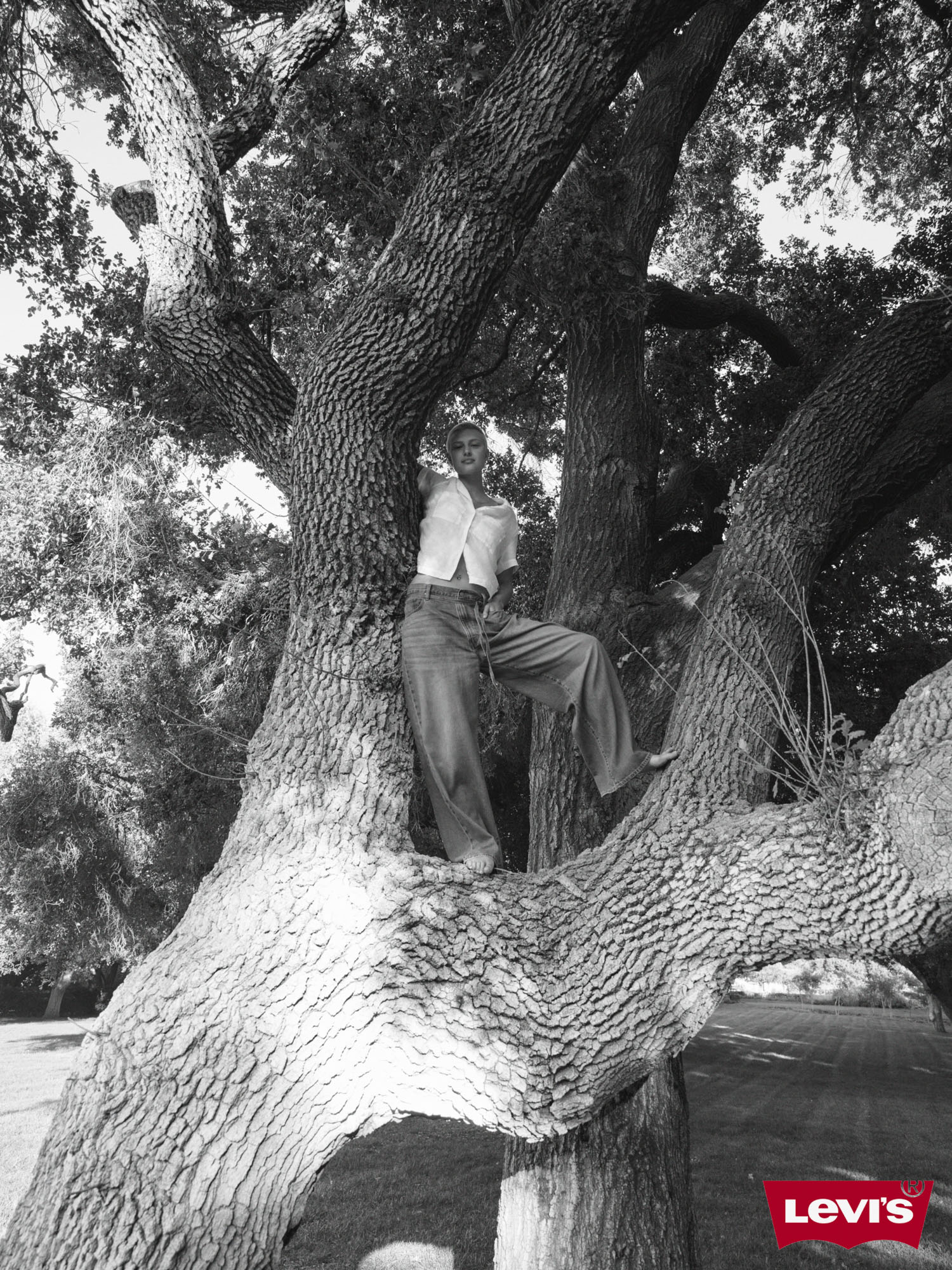 25 H1 D2 OB W 103A 0181 bw