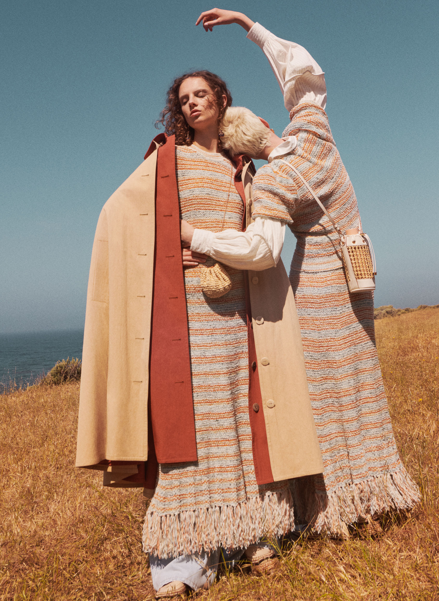 03 tufted stripe lily 198 full 300dpi