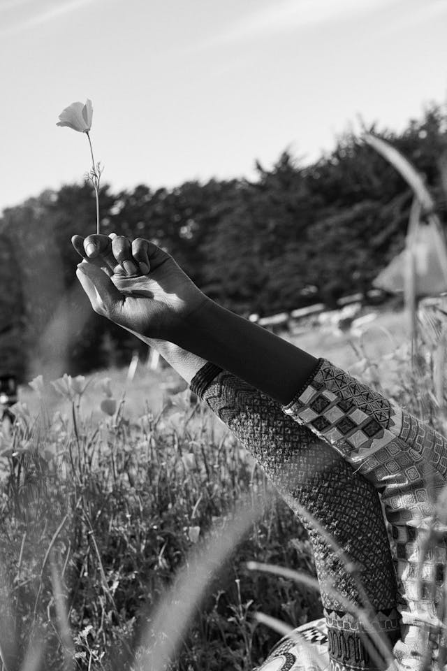 03 danai dress zehra top hand masque embroidery 236 full 300dpi