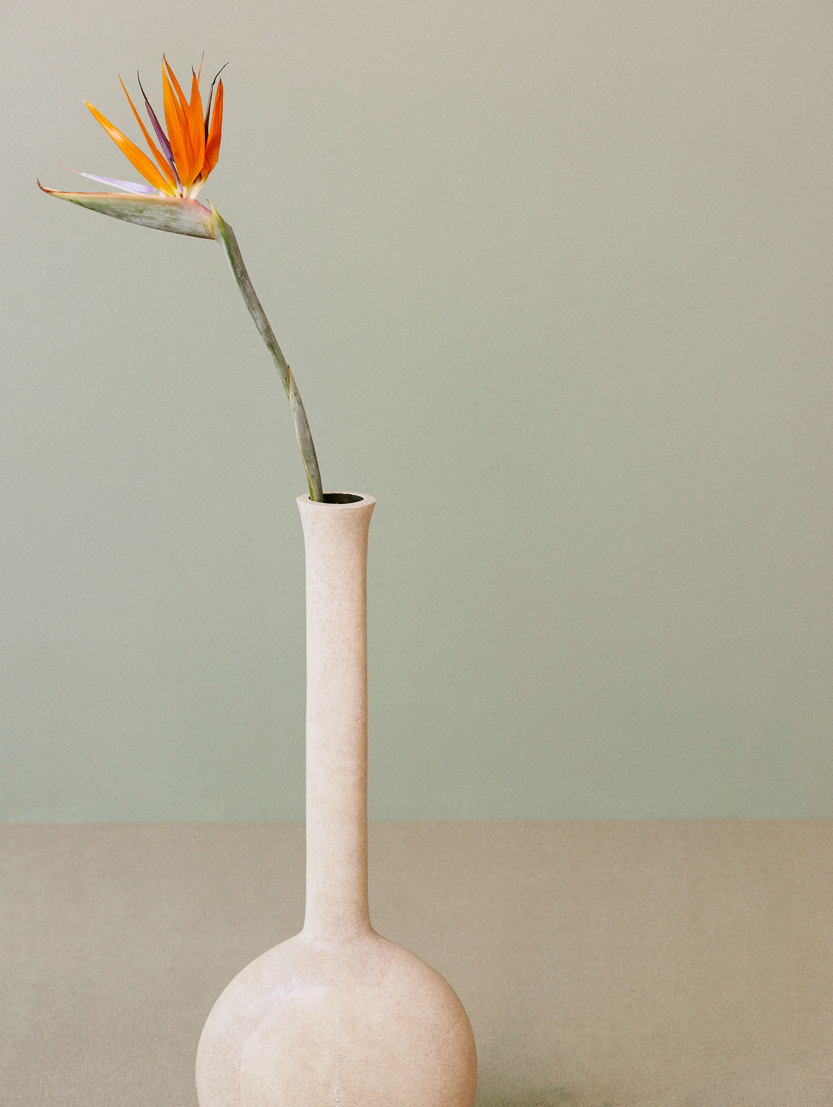 DiorMagazine Published October2016 7