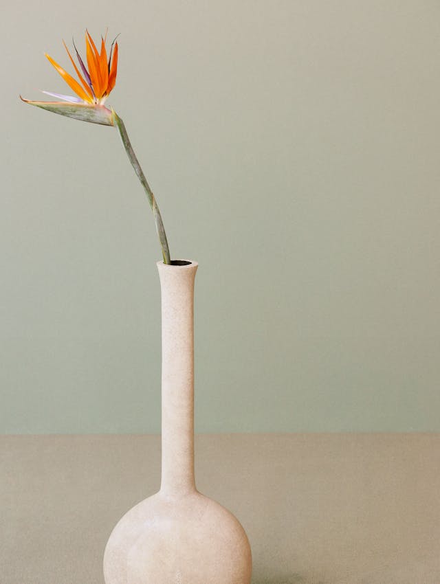 DiorMagazine Published October2016 7