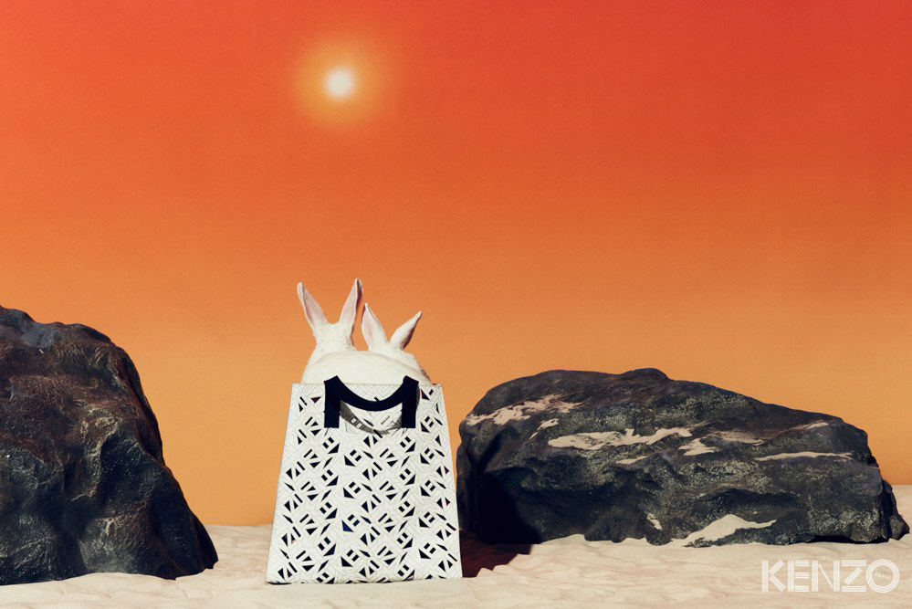 gxl 5553826e d65c 4d53 81d7 020d0a771fd0