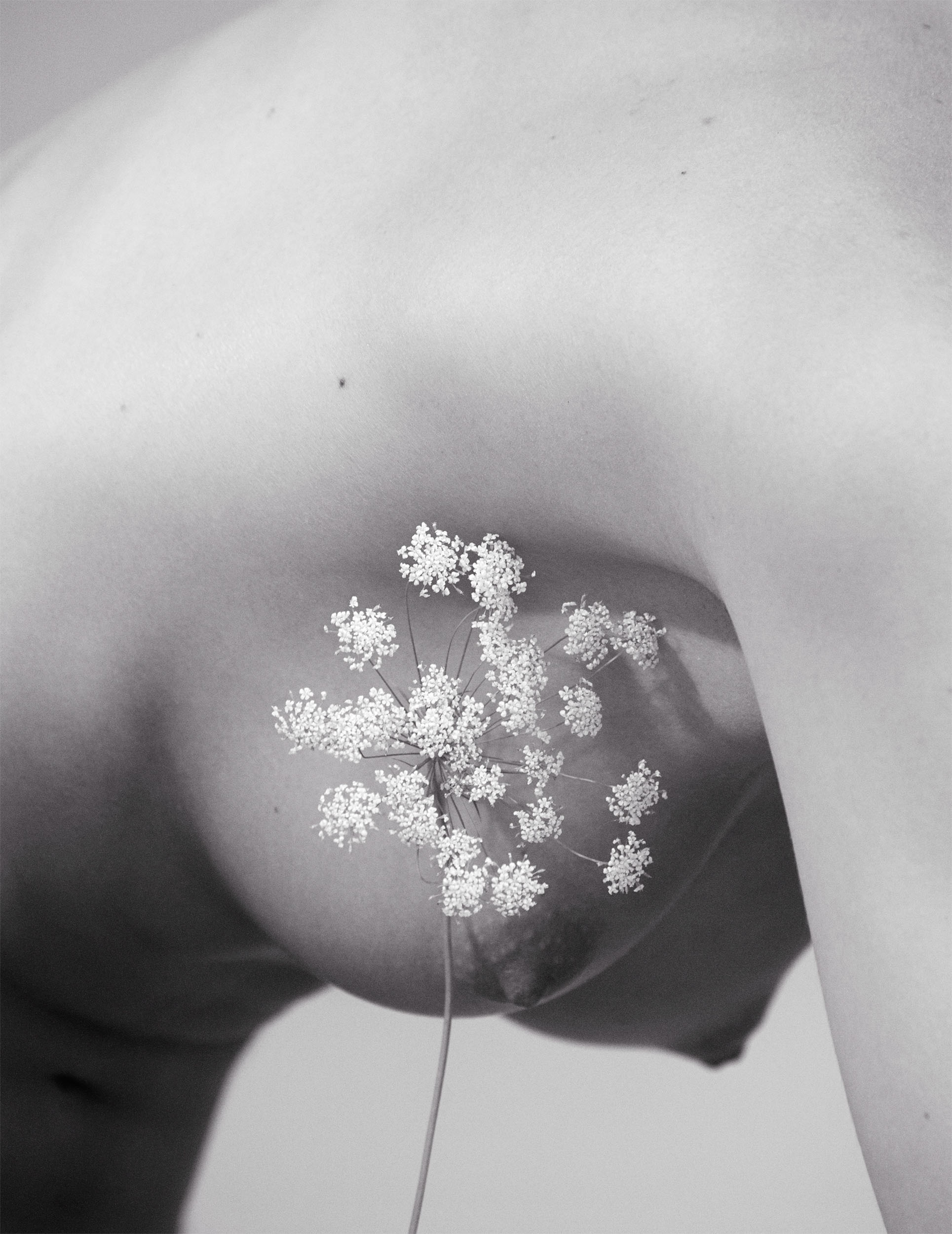 Models.com September2016 PUBLISHED 9