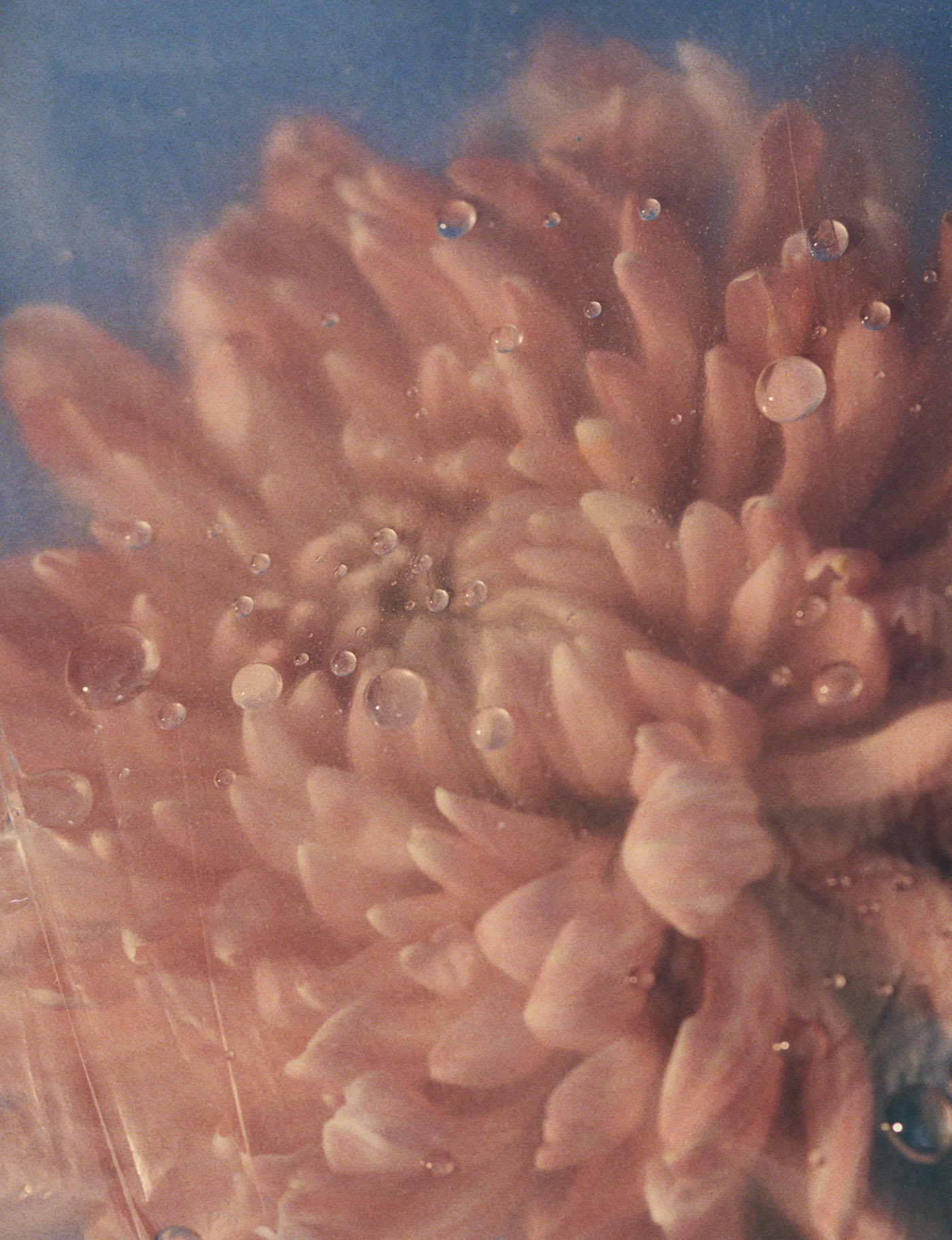 200123 130 STILLS 159 HD CMJN