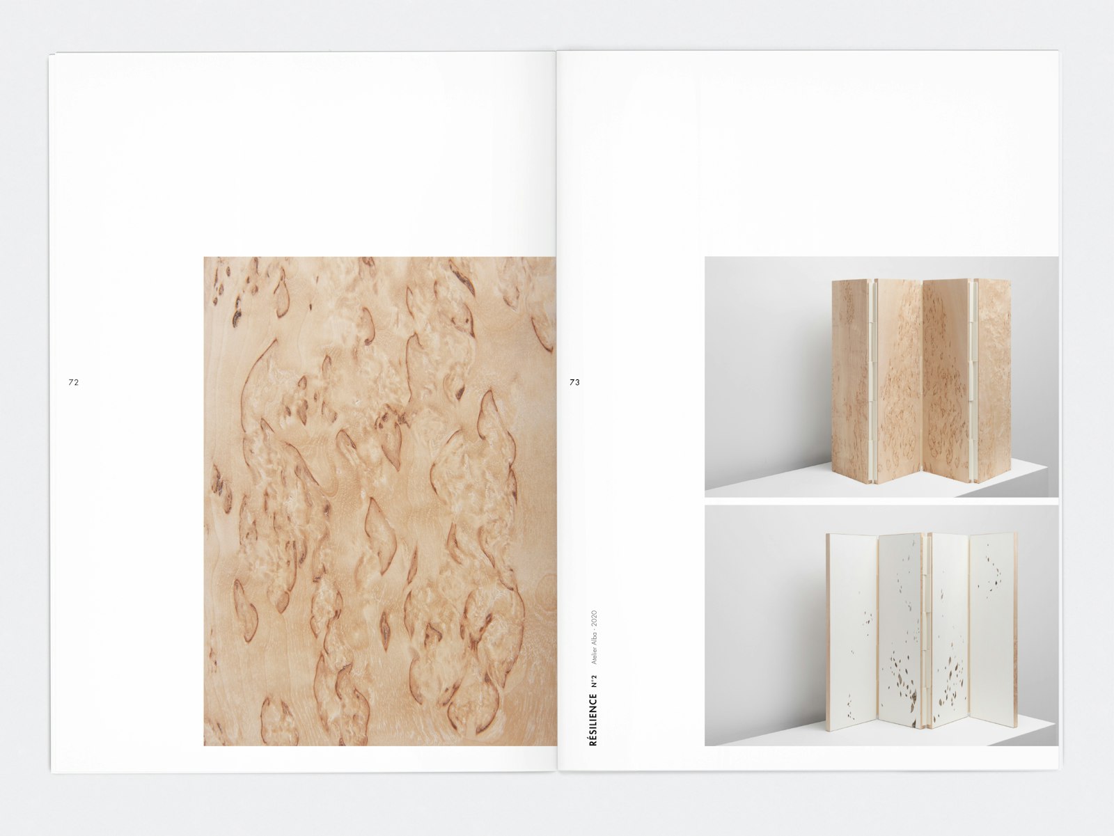 JOANNA SPADILIERO OFFICE, PROJECTS, Sinople, Paysage intérieur