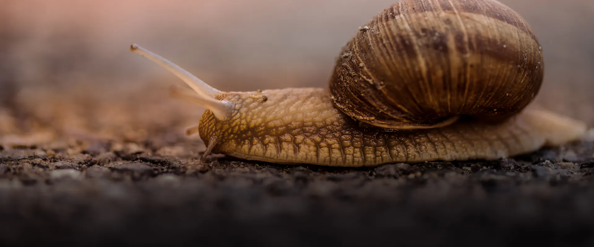 Et si le quiet quitting était une bonne nouvelle ?