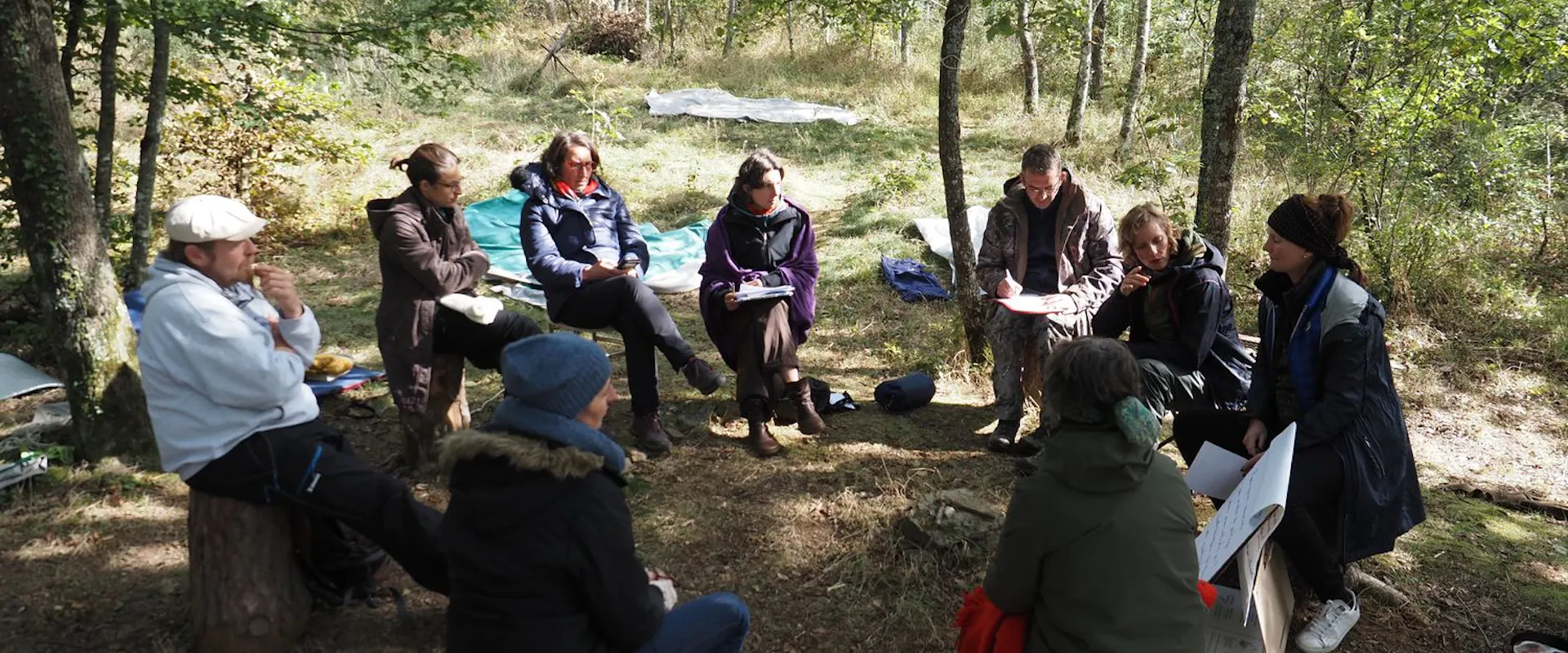 Se former à la facilitation au changement, en pleine forêt