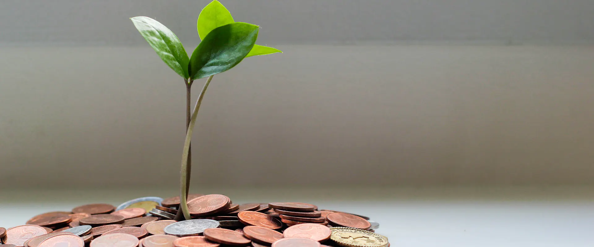 How to finance your vocational training