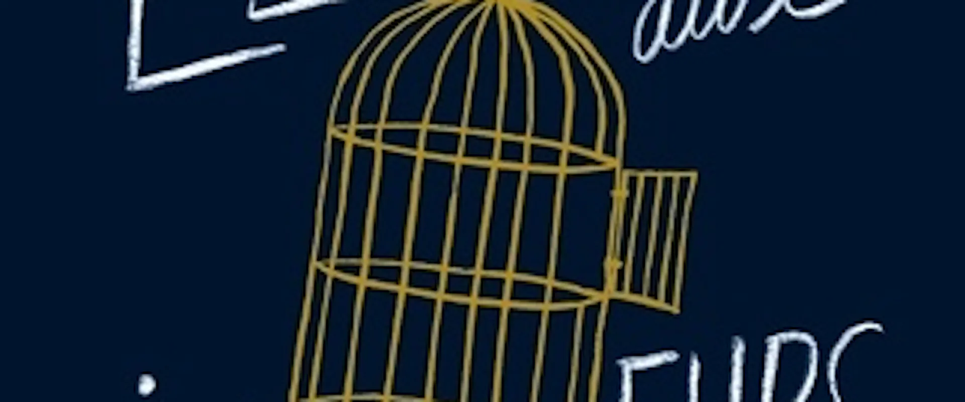 Olivier Lefebvre - "il est difficile de sortir de sa cage dorée"