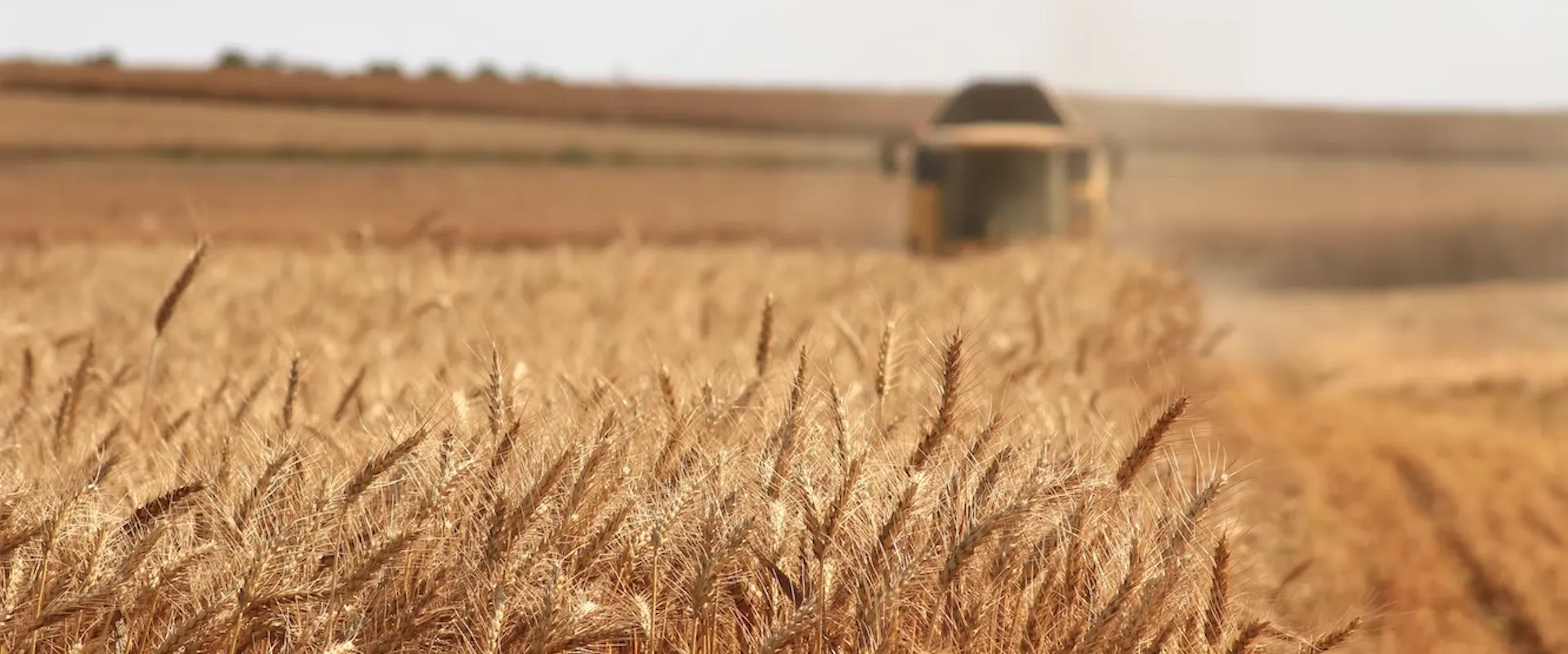 Parcoursup : 10 formations pour t'orienter vers l'agriculture durable
