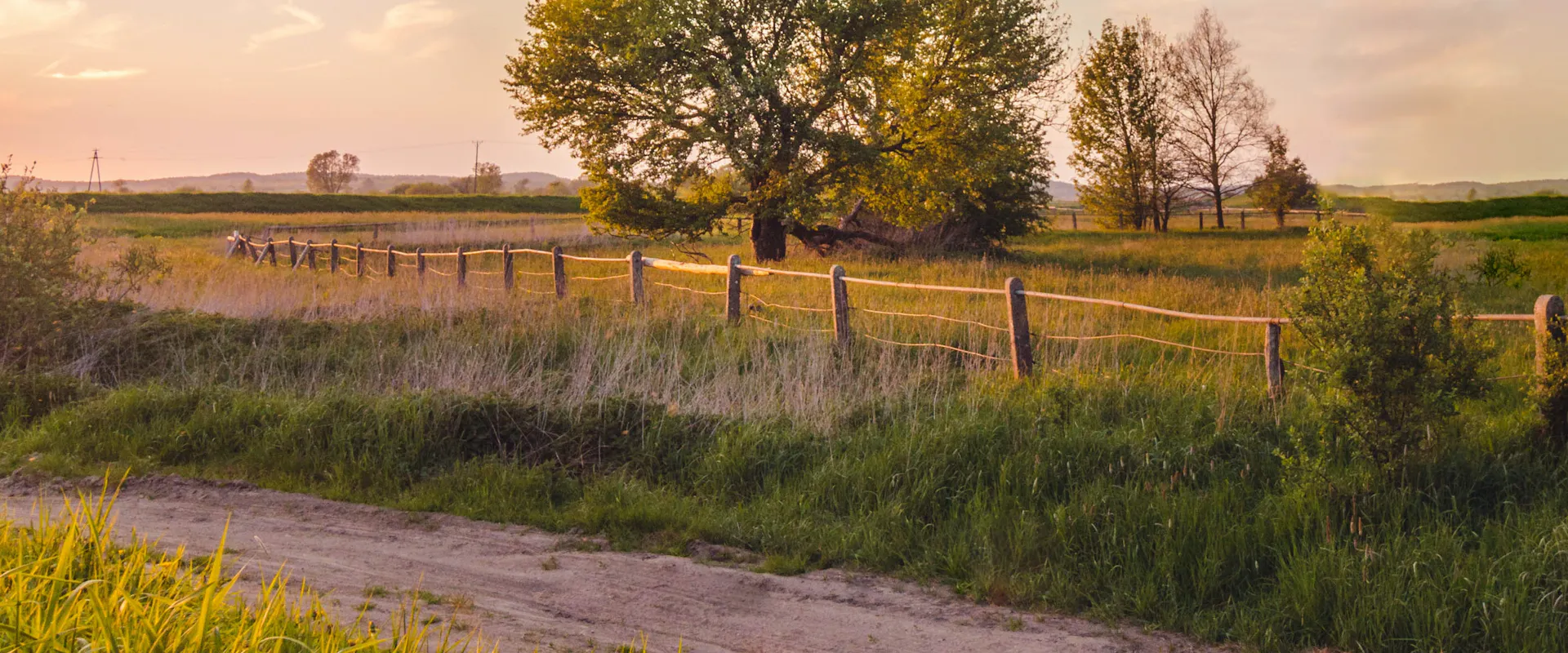 Entrepreneurship in the territories: is it the right time?