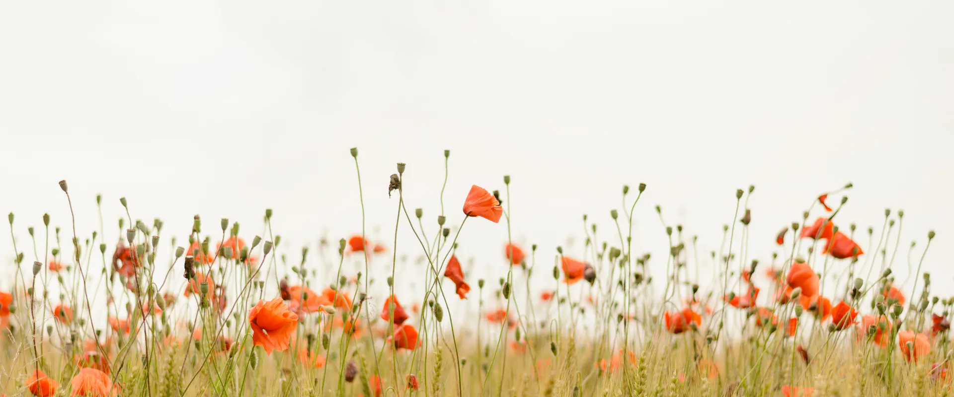 Formation environnement : notre top 10