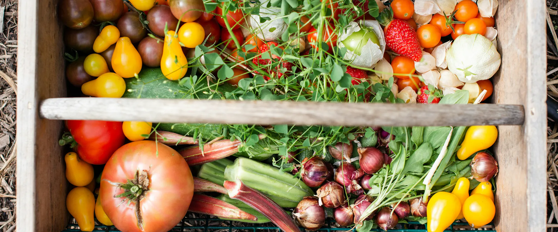 Formation à la permaculture : notre sélection