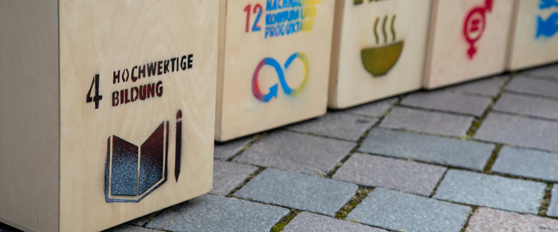 Formation développement durable : notre top 15