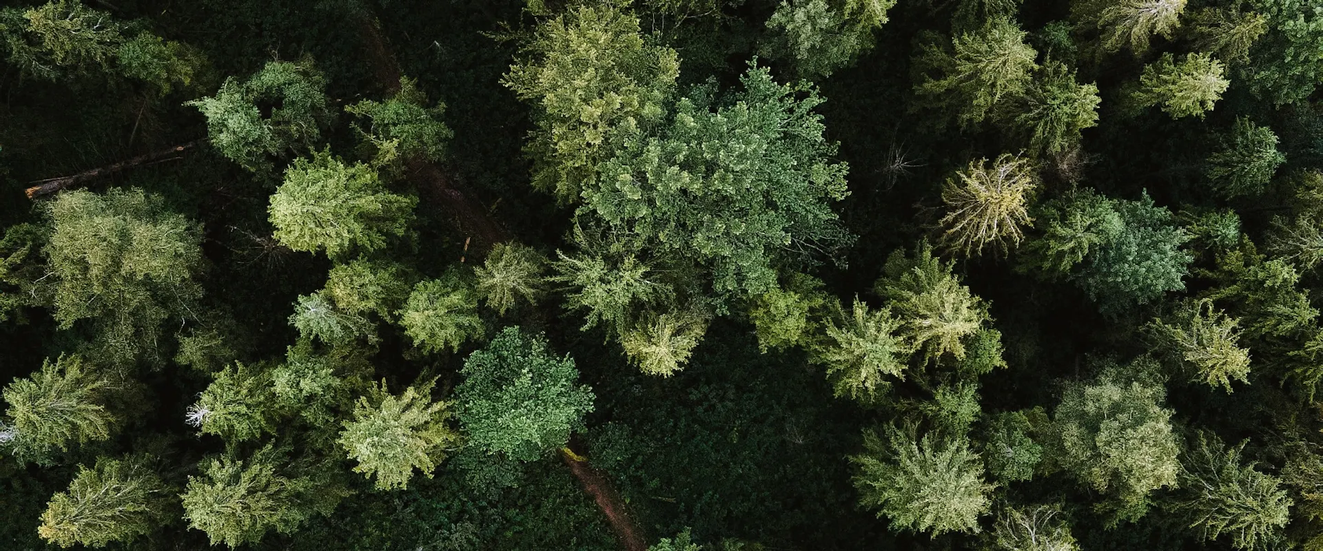 Quels sont les métiers de l’environnement qui recrutent ?