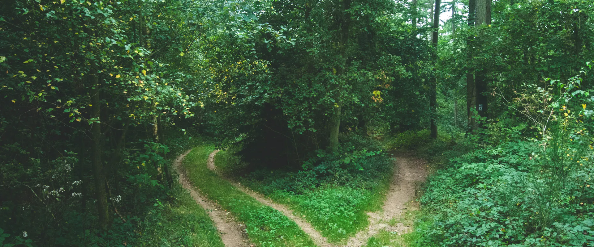 5 voies possibles pour aligner son travail avec ses valeurs