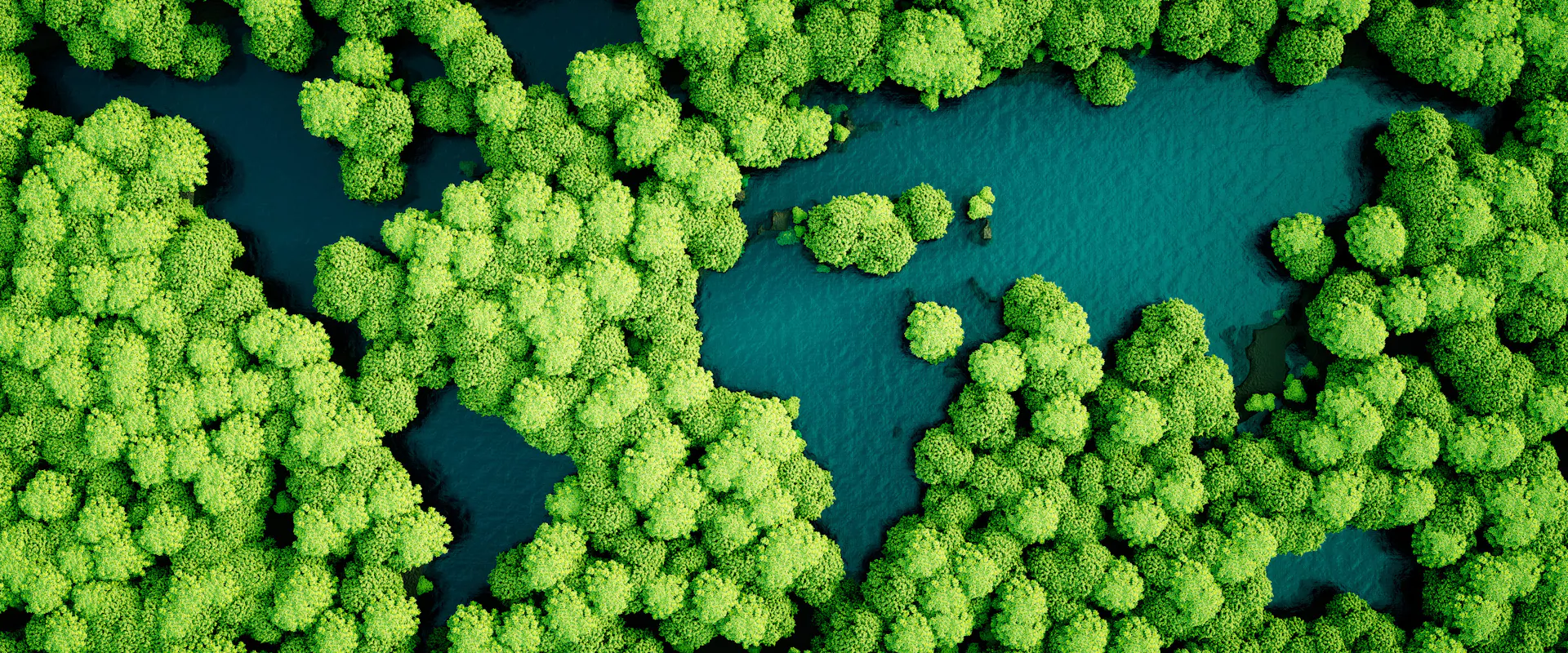 5 métiers pour une reconversion dans l’environnement avec ou sans le bac