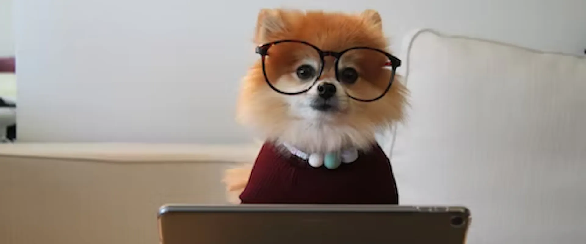 What skills should you put on your resume ?