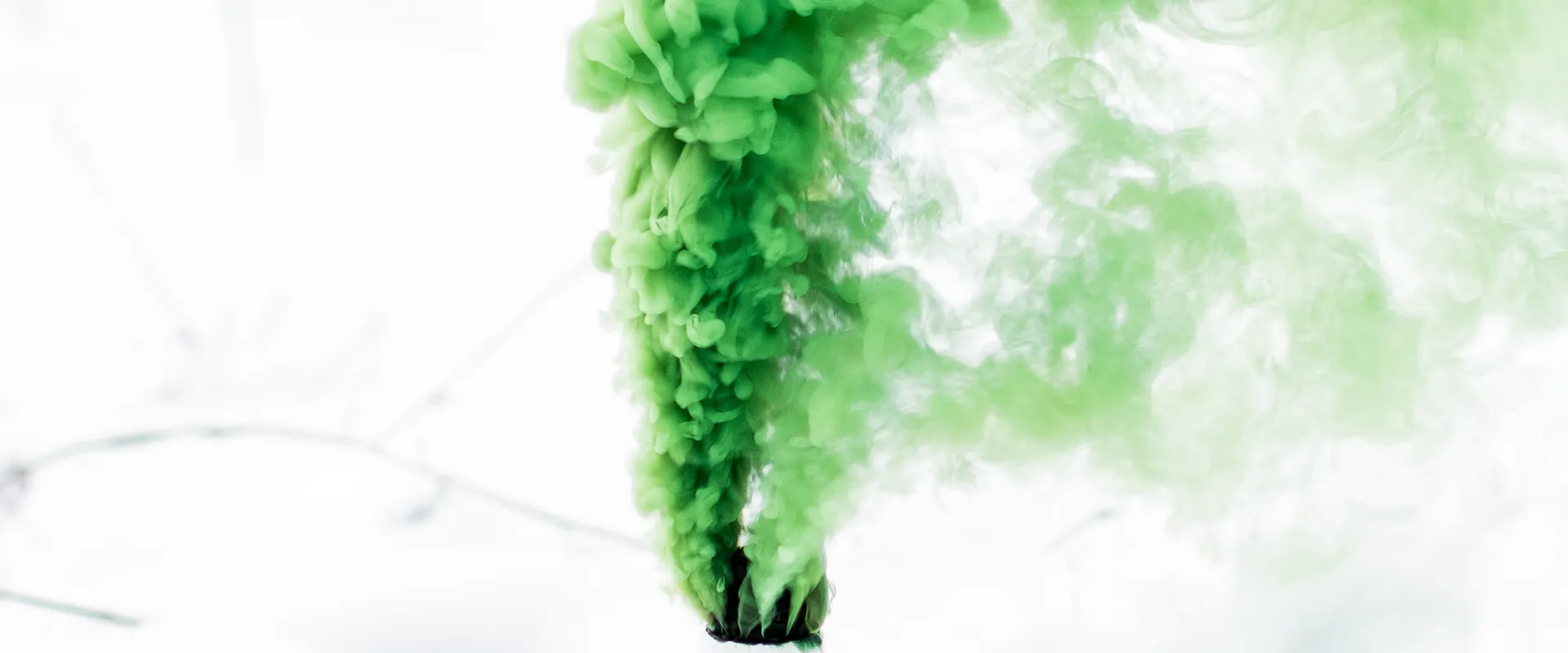 Le podium du Greenwashing (et quelques conseils pour l'éviter)