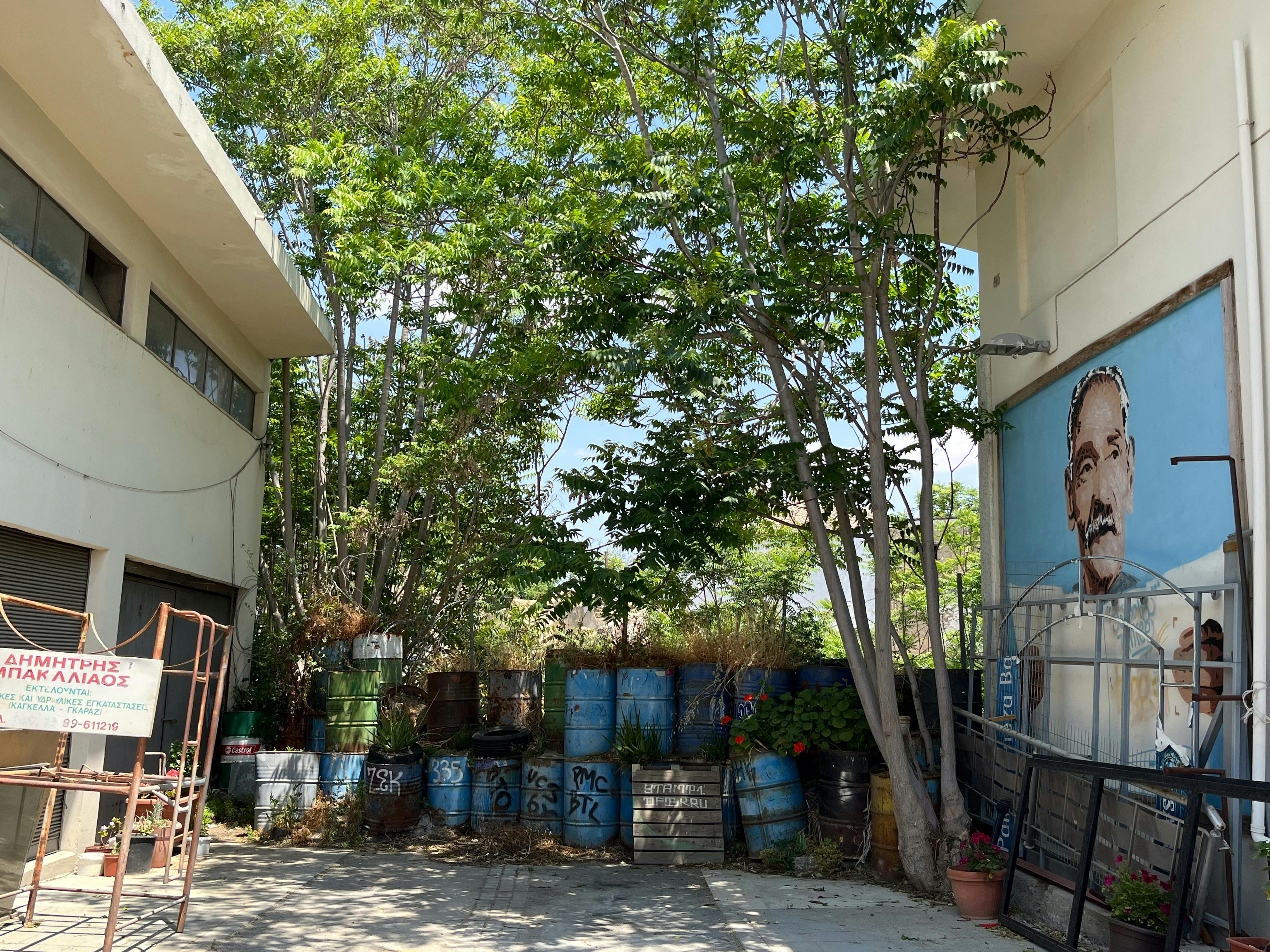 A backyard with trees in Cyprus, Photo: Joëlle Bitton