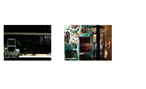 Young Ordinary Woman Image 1