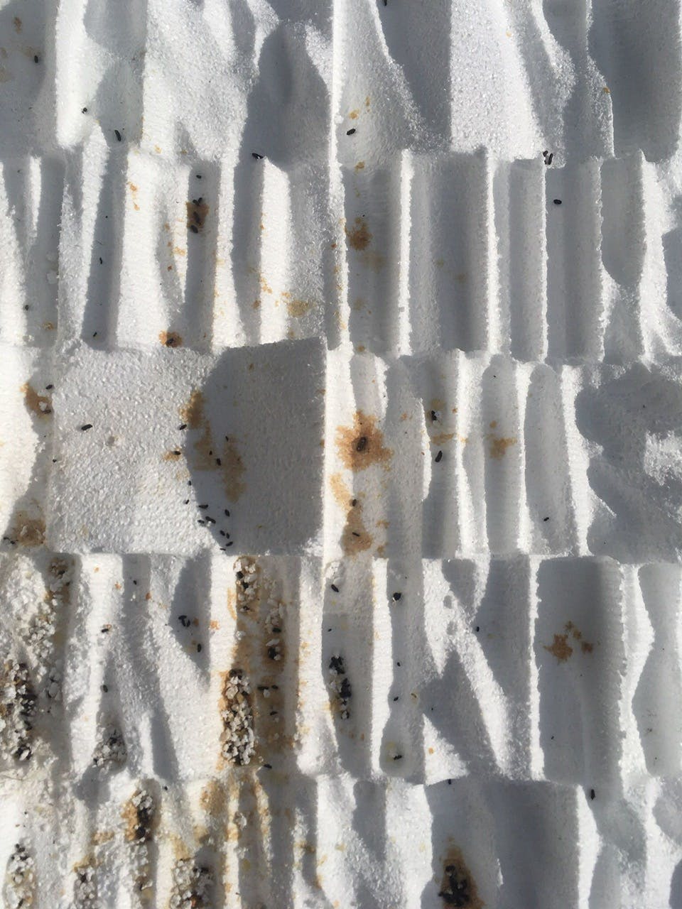 Twip x Mice, picture of a Twipology piece where mice nested, 2022