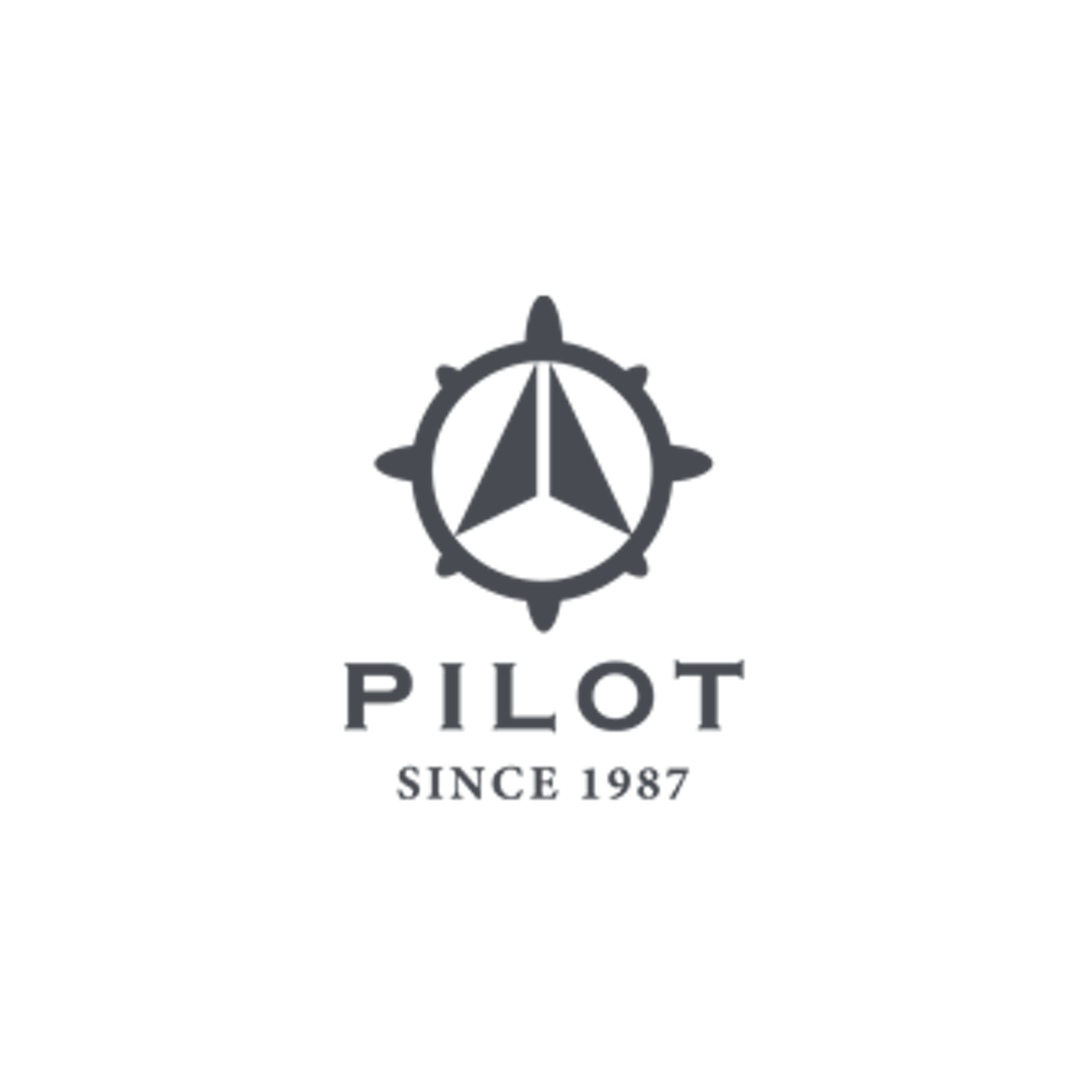Pilot