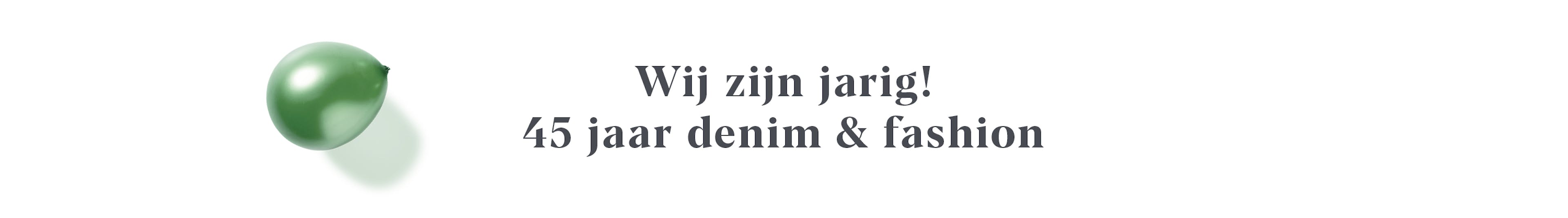 Single Banner Image Desktop