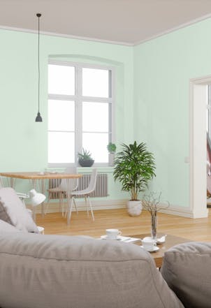 Living room painted in New Seedling