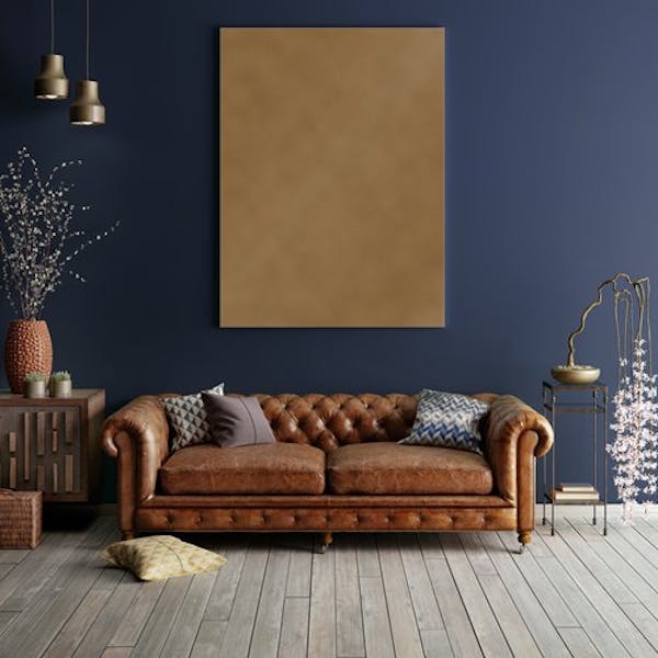 dark blue and gold wall with a leather sofa
