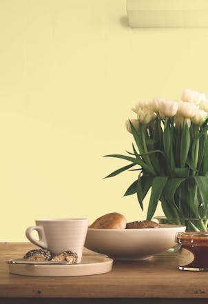 Dining room painted with Johnstone's